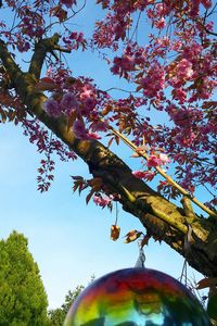 Low angle view of tree against sky