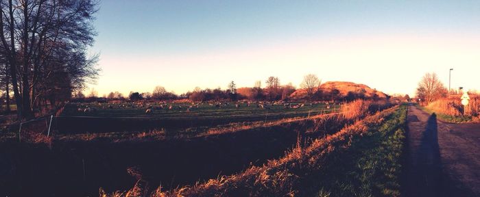 Scenic view of field against sky at sunset