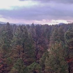 High angle view of trees and mountains against sky