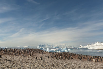 Panoramic view of beach against sky during winter