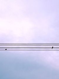 Low angle view of bird perching on cable against sky