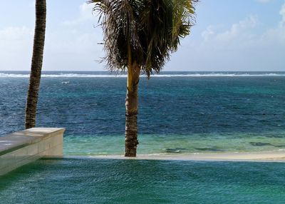 Palm trees on beach against cloudy sky