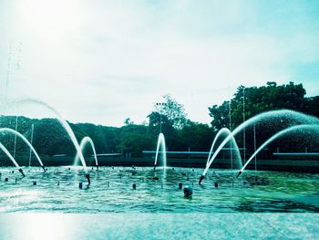 Swimming pool by trees against sky