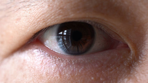 Close-up of human eye