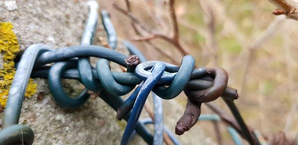 Close-up of chain tied on rock