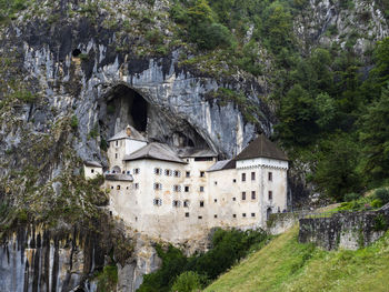 View of the predjama castle