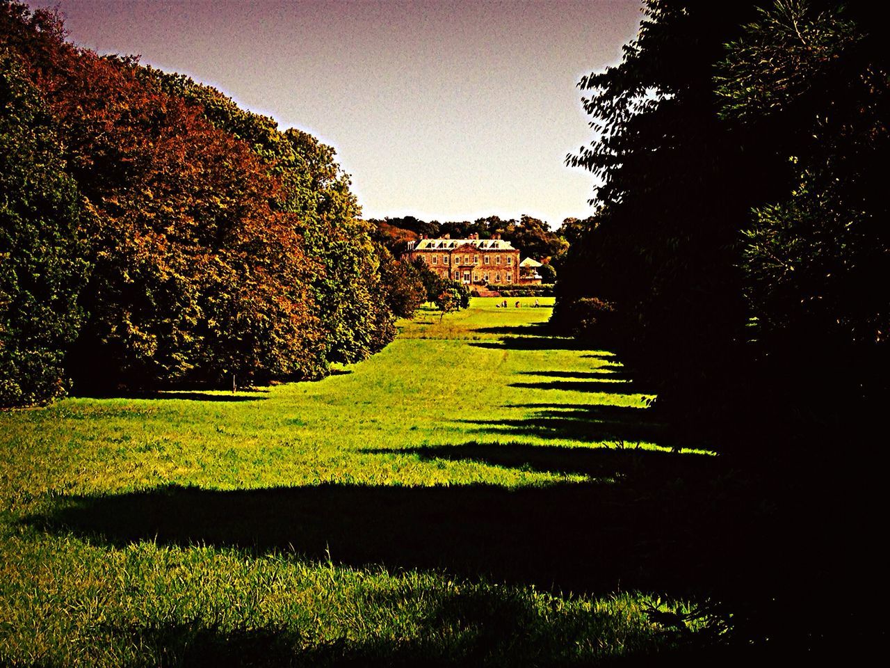 grass, architecture, built structure, building exterior, tree, clear sky, green color, lawn, growth, field, sky, grassy, house, sunlight, park - man made space, plant, nature, shadow, landscape, outdoors