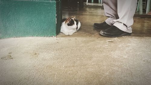 Low section of person with cat sitting on floor