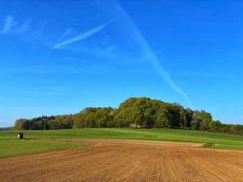 Scenic view of agricultural field against sky