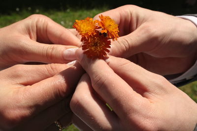 Close-up of hand holding flower