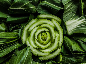 Green vegetables ready for cook. this green vegetation has a lot of vitamin content in the body