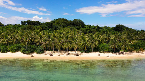 Wild white sand beach with coconut trees. caramoan islands, philippines.