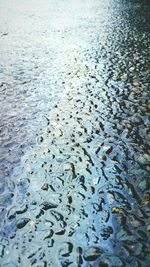 Reflection of trees in water