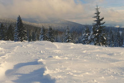 Snow covered land against sky