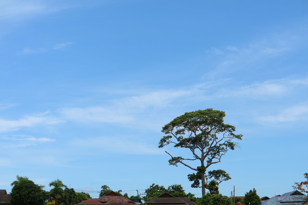 sky, tree, architecture, plant, cloud, built structure, building, house, building exterior, nature, blue, no people, residential district, outdoors, roof, day, travel destinations, environment, beauty in nature, copy space, horizon, city, travel