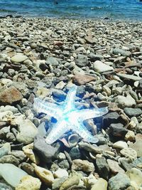 Stones on beach