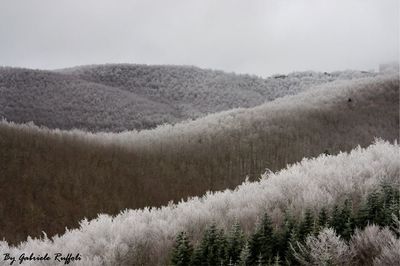 cold temperature