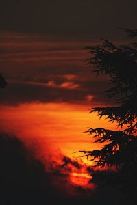 Low angle view of silhouette trees against orange sky