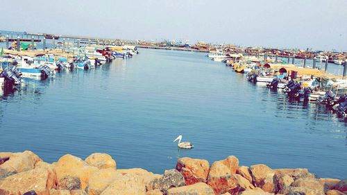 Boats in sea