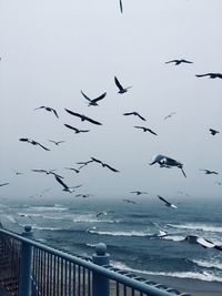 Seagulls flying over sea against clear sky