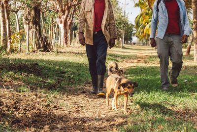 Full length of dog walking on field