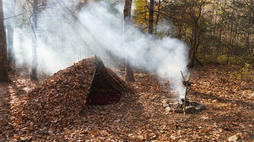 Bushcraft survival shelter in the wilderness. campsite and campfire in the woods.