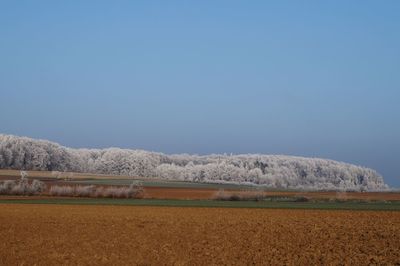 Scenic view of field against clear blue sky