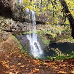 Scenic view of waterfall