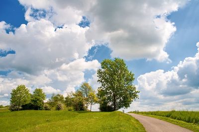 Scenic view of trees on field against sky