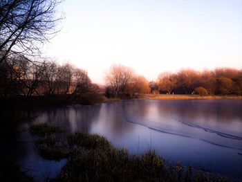 Reflection of trees in calm lake