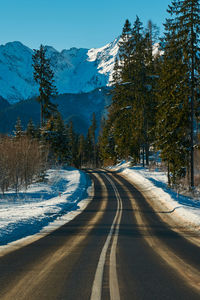 Road amidst trees and snowcapped mountains during winter