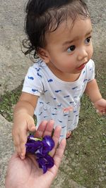 High angle view of cute girl holding purple flower