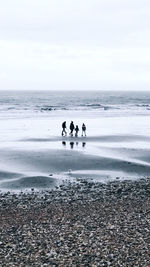 People on beach against sky