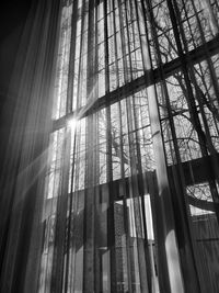 Low angle view of sunlight streaming through window in forest