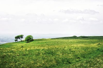 Scenic view of land and sea against sky