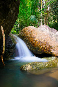 View of waterfall in forest