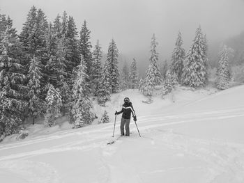 People on snow covered land against trees