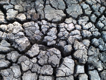 Full frame shot of cracked land