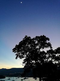 Low angle view of silhouette trees against clear blue sky