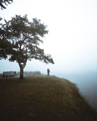 Rear view of man by tree against sky