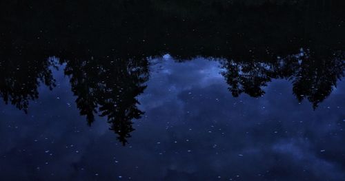 Reflection of trees in lake against sky at night