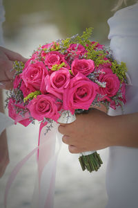 Close-up of pink rose