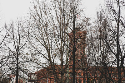 Low angle view of bare trees against sky