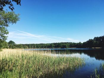 Scenic view of lake against clear blue sky