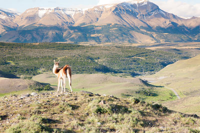 Scenic view of mountains