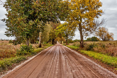 Road amidst trees during autumn