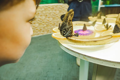 Close-up of person holding ice cream on table