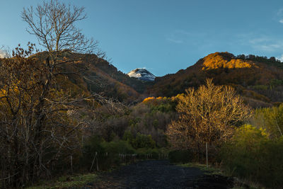 Scenic view of land against sky during autumn