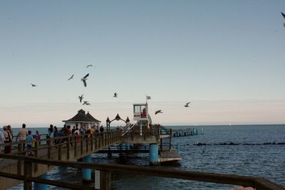 Birds flying over sea against sky