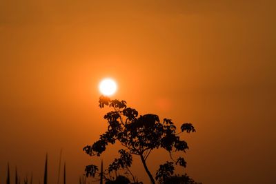 Low angle view of silhouette plants against romantic sky